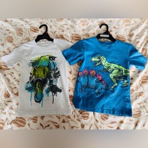 EUC Dinosaur Graphic Kids T-Shirts - Blue & Light Gray